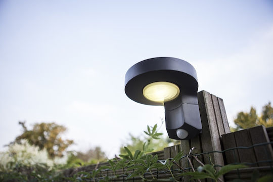 Lutec Diso Wall Mounted Solar Light 2W 200lm Natural White 4000K with Motion Sensor and Photocell IP44 12.5cmx17.5cmx16cmcm