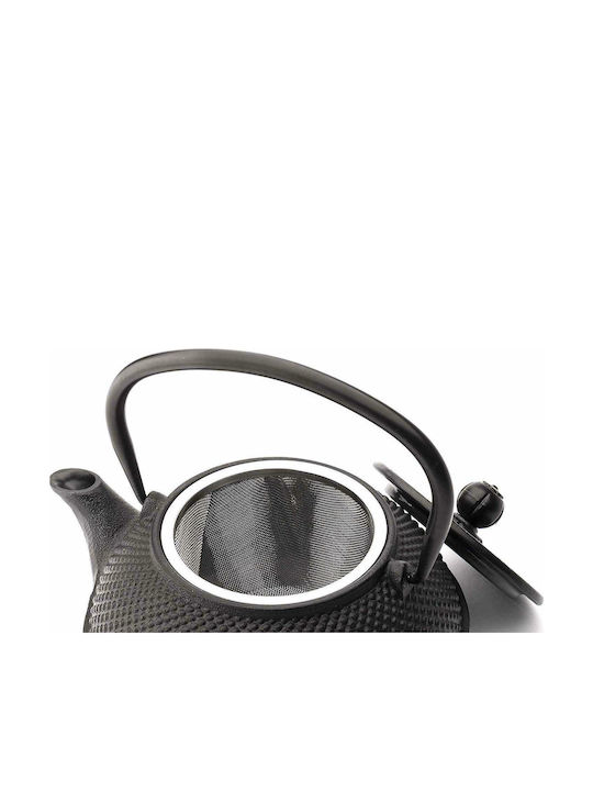 Bredemeijer Jang Teapot with Filter Cast Iron Black 800ml