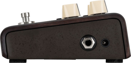 LR Baggs Align Series Πετάλι Effect Delay Ηλεκτροακουστικών Οργάνων