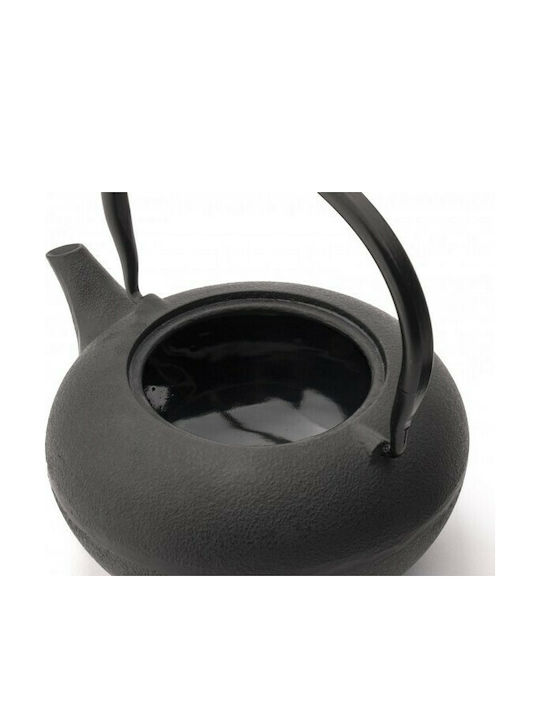 Bredemeijer Shanxi Tea Set with Cup and Filter Cast Iron Black 1000ml 3pcs
