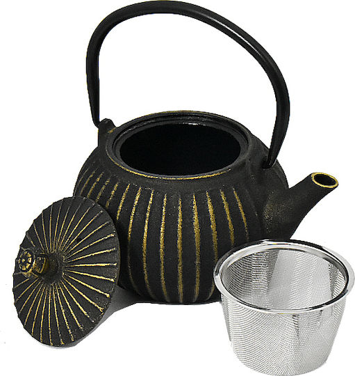 Lined Teapot with Filter Cast Iron Gold Black 500ml