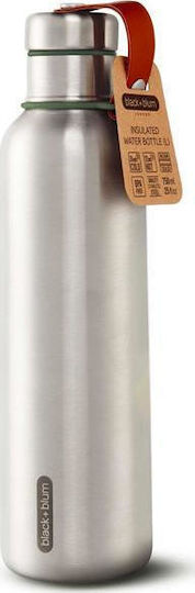 Black+Blum Bottle Thermos Stainless Steel BPA Free 750ml Green