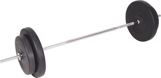 vidaXL Αλτήρες Σετ με Μπάρα Συνολικού Βάρους 90kg