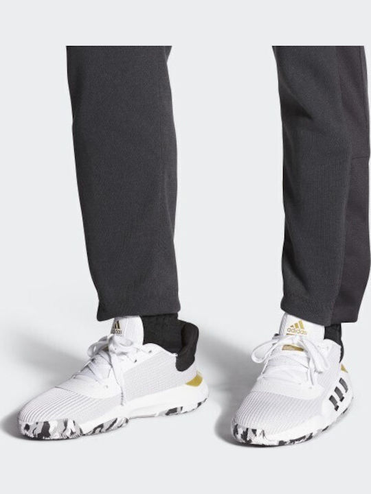Pro Bounce 2019 Low Χαμηλά Μπασκετικά Παπούτσια Cloud White / Core Black / Gold Met.