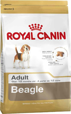 Royal Canin Adult Beagle 12kg Dry Food for Adult Dogs of Medium Breeds with Corn and Chicken