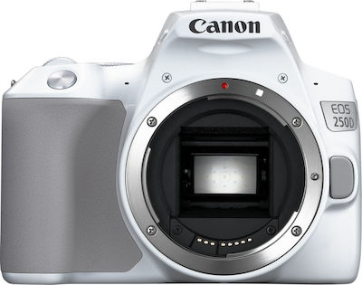 Canon DSLR Φωτογραφική Μηχανή EOS 250D Crop Frame Kit (EF-S 18-55mm F4-5.6 IS STM) White
