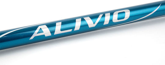 Shimano Alivio FX Angelrute für Surfangeln 4.20m 200gr