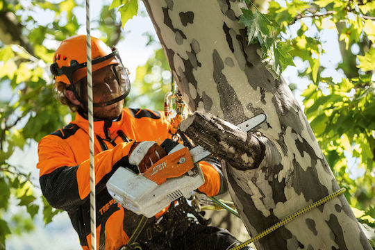 Stihl MSA 161 T Akku Kettensäge Solo Bürstenlos 2,1kg mit Klinge 25cm