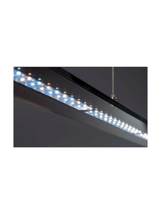 Fischer Honsel Tenso TW Pendant Light LED Rail Black