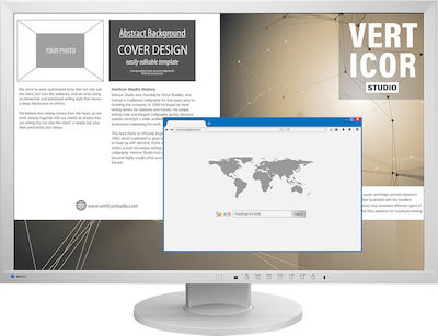 Eizo EV2430 Monitor 24.1" FHD 1920x1200 Gray