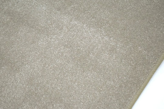 Eurofil Carpet Capitol Price Per Meter