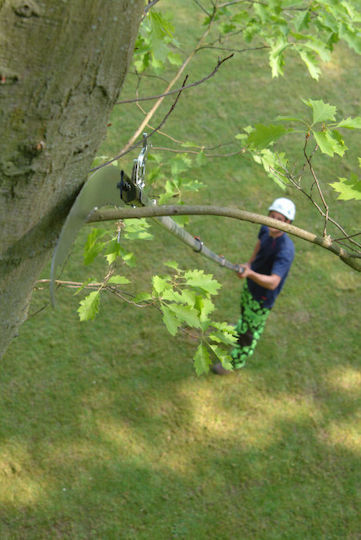 Silky (Saws) Hayauchi 6300 Telescopice Ferăstrău de tăiat crengi 6.30m cu lamă 39cm