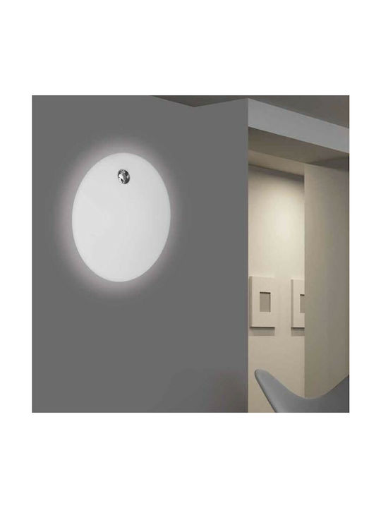 Luma Ceiling Light 50cm Luma Ceiling Light 50cm