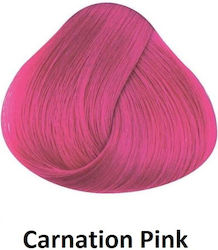 La Riche Directions Haarfarbe Toner Kreide Carn...