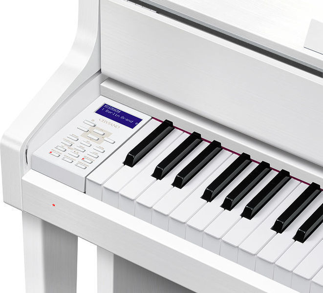 casio gp 310