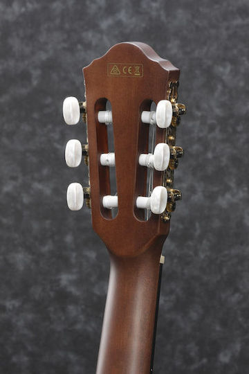 Ibanez Electro-Clasic Chitară 4/4 AEG50N-BKH Nylon Negru