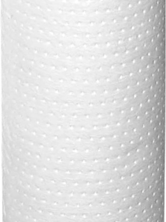 Aqua Filter Ανταλλακτικό Φίλτρο Νερού Κεντρικής Παροχής από Πολυπροπυλένιο 10" FCPS20 20 μm
