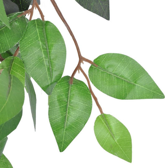 Ficus in Topfpflanze vidaXL