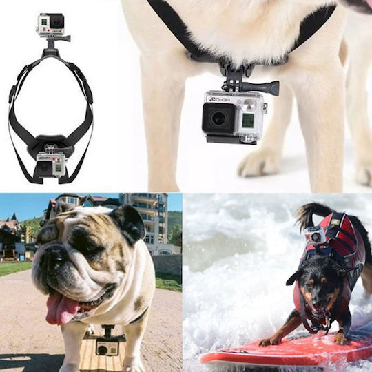 Dog Harness Dog Support Base Universal