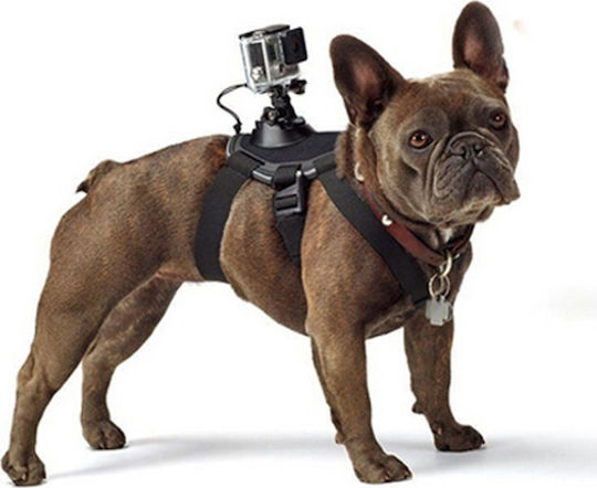 Dog Harness Dog Support Base Universal