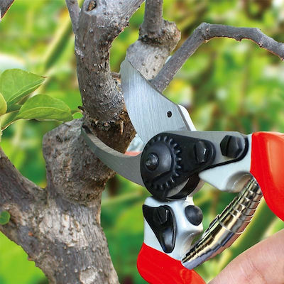 Aquacraft Pruning Shears