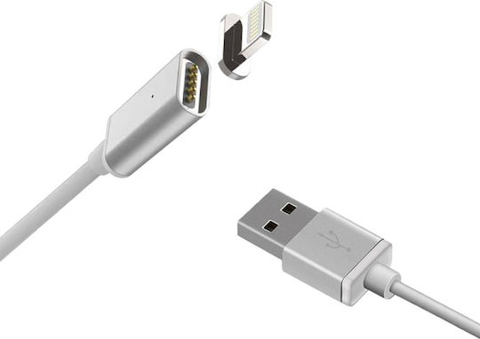 Magnetic USB to Lightning Cable Γκρι 1m
