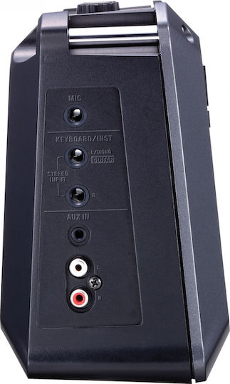 Roland Mobile Cube Mini Amplificator Instrumente Acustice 2 x 4" 5W Negru