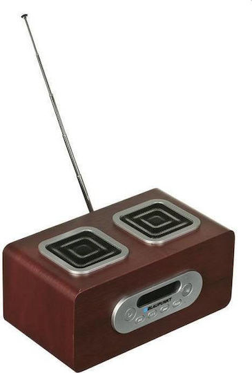 Blaupunkt PP5BR Cu baterie cu USB Maro