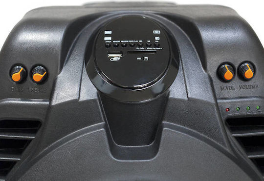 Akai Proffesional Karaoke-Lautsprecher mit Kabellosem Mikrofon SS023A-X10 SS023A-X10 Schwarz