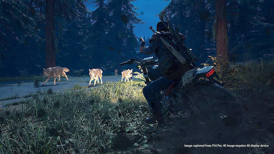 Days Gone PS4 Game (Used)