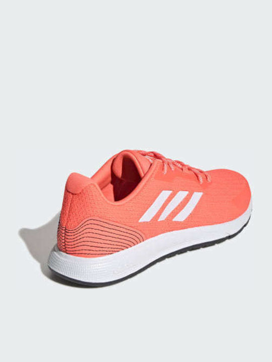 Adidas discount sooraj coral