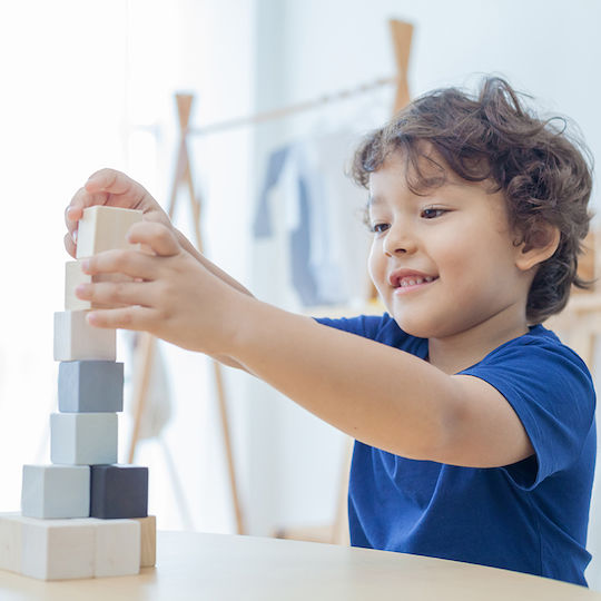 Plan Toys Holzblöcke Für Kinder Ab 1,5 Jahren 15 Stück