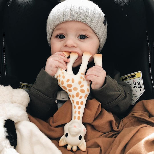Sophie La Girafe Sophie the Giraffe Μασητικός Κρίκος Οδοντοφυΐας από Καουτσούκ για 0 m+ 2τμχ