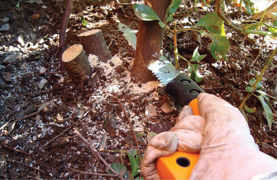 Fiskars Xtract SW73 Pruning Folding Saw 16cm