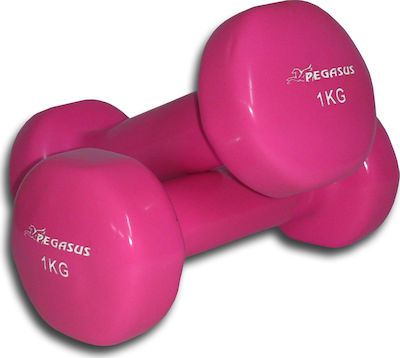 Pegasus B-7900 Vinyl Dumbbell 1 x 1kg