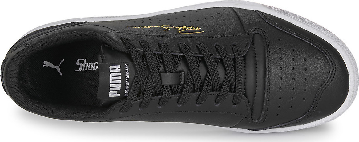 sampson lows