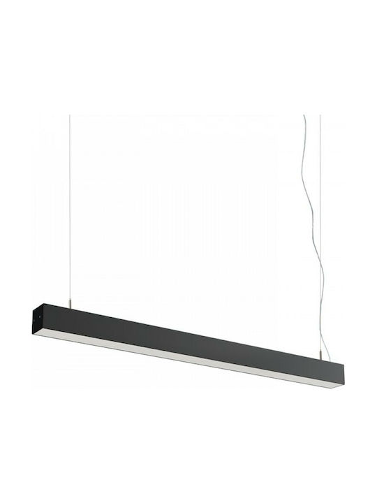 Rendl Light Studio Pesante 75 Pendant Light LED Rail Black