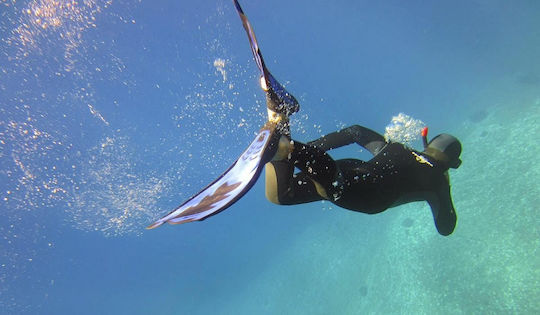 Scuba Force Μάσκα Θαλάσσης Σιλικόνης Γκρι