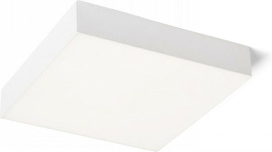 Rendl Light Studio Larisa SQ 30 Ceiling