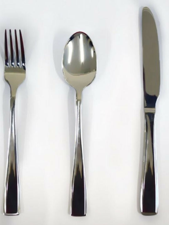 Homeplus Mairy Cutlery Set Stainless Silver 72pcs with Suitcase