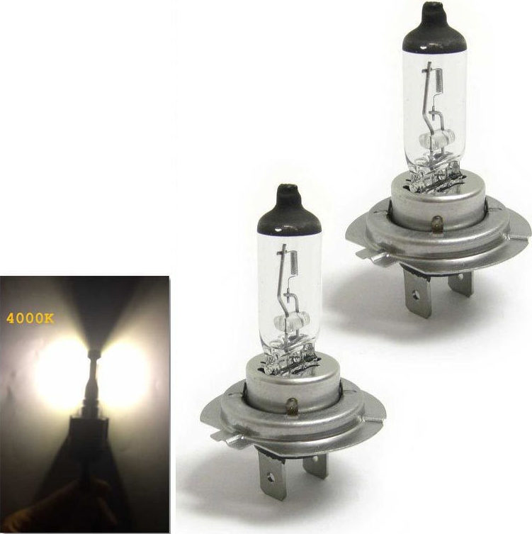 H7 Halogen Bulbs 4000K 12V 2τμχ - Skroutz.gr