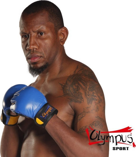 Olympus Sport Synthetic Leather MMA Gloves Blue