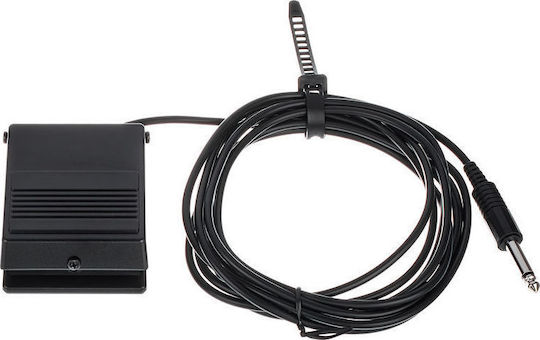 Roland DP-2 Πετάλι Footswitch Ηλεκτροακουστικών Οργάνων, Ηλεκτρικής Κιθάρας και Ηλεκτρικού Μπάσου