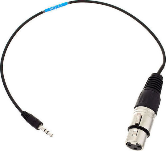 Sennheiser XLR-Kabel Weiblich - 3,5 mm Stecker Schwarz 0,4 m 563661