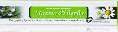 Anemos Οδοντόκρεμα Χωρίς Φθόριο για Ουλίτιδα , Πλάκα & Τερηδόνα Mastic & Herbs Χαμομήλι 75ml