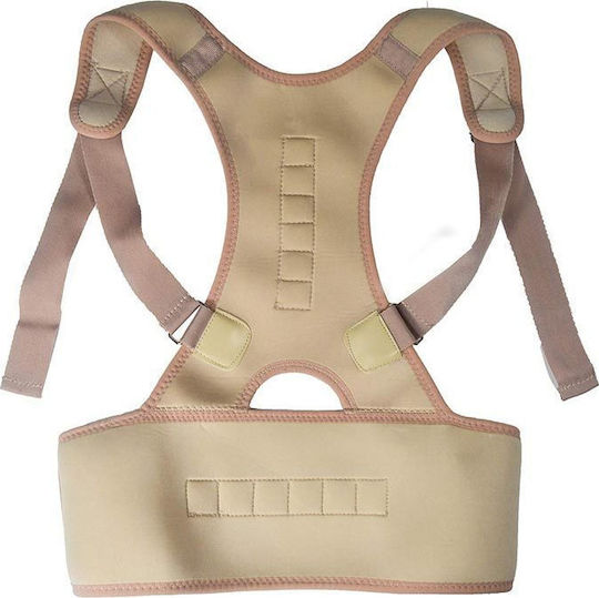 Jocca Magnetic Belt Back Beige 6249