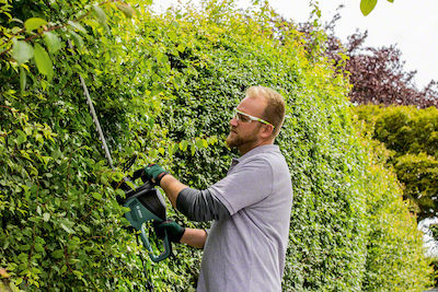 Bosch Advanced HedgeCut 65 Ηλεκτρικό Μπορντουροψάλιδο 500W με Μήκος Λάμας 65cm