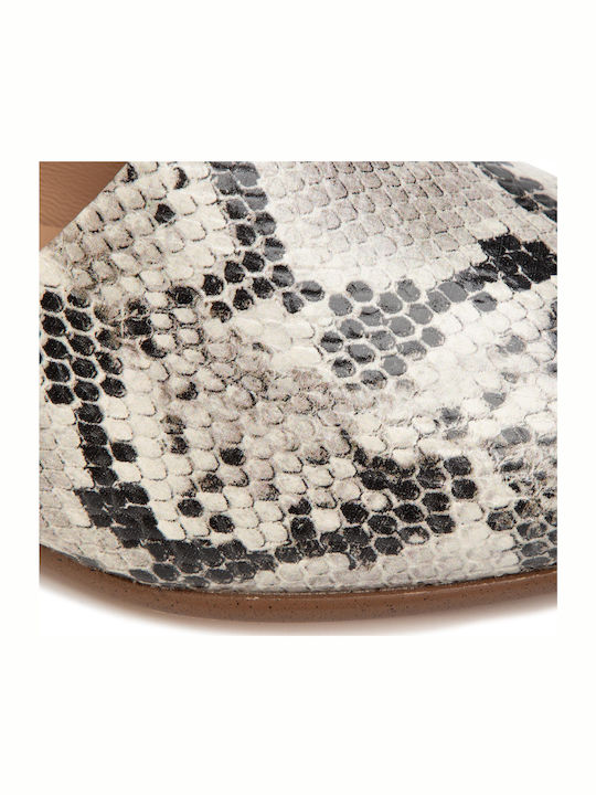 Pure Tone Grey Snake