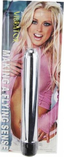 Baile Vibe Making A Flying Sense Classic Vibrator 17.5cm Silver