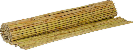 Showood Bambuszaun mit Ganzes Schilf 2x3m 200300